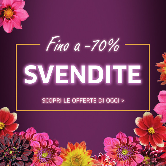 offerte