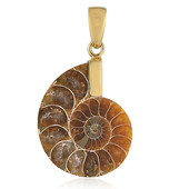 Ciondolo in argento con Ammonite
