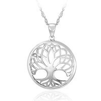 Collana in argento