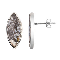 Orecchini in argento con Corallo Pietrificato
