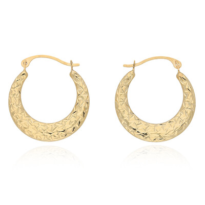Orecchini in oro