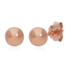 Orecchini in argento