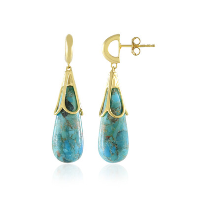 Orecchini in argento con Turchese (MONOSONO COLLECTION)