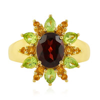 Anello in argento con Rodolite Lampone