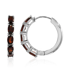 Orecchini in argento con Granato