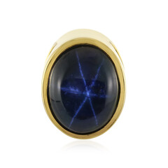Ciondolo in argento con Zaffiro Stellato Blu