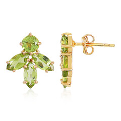 Orecchini in argento con Peridoto