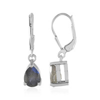 Orecchini in argento con Labradorite
