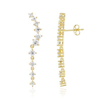Orecchini in argento con Zircone