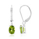 Orecchini in argento con Peridoto della Birmania