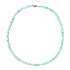 Collana in argento con Magnesite Blu