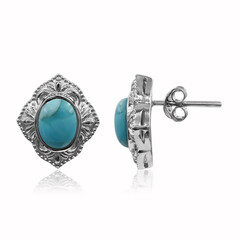 Orecchini in argento con Turchese