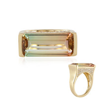Anello in oro con Tormalina Bicolore (de Melo)
