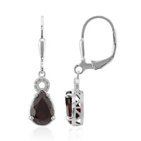 Orecchini in argento con Granato