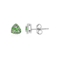 Orecchini in argento con Tsavorite