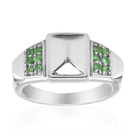 Anello in argento con Tsavorite del Kenya (Remy Rotenier)