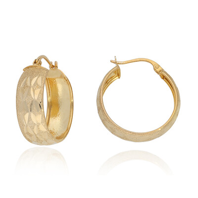 Orecchini in argento