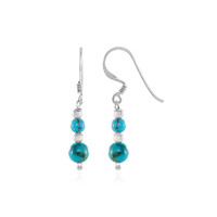 Orecchini in argento con Turchese