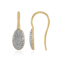Orecchini in argento con Zircone