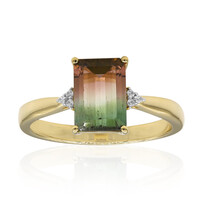 Anello in oro con Tormalina Bicolore