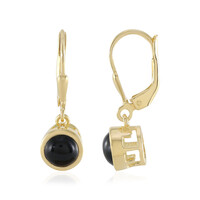 Orecchini in argento con Onice Nero