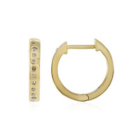 Orecchini in argento con Diamante Champagne I3