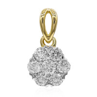 Ciondolo in oro con Diamante IF (D)