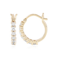 Orecchini in oro con Zircone