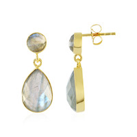 Orecchini in argento con Labradorite