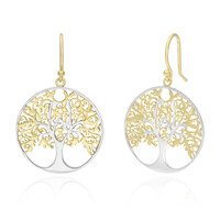 Orecchini in argento