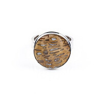 Anello in argento con Legno di Palma Pietrificato