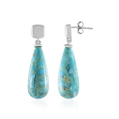 Orecchini in argento con Turchese