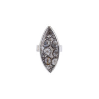 Anello in argento con Corallo Pietrificato