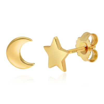 Orecchini in argento