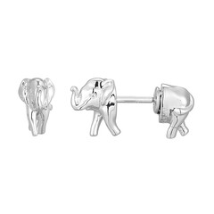 Orecchini in argento
