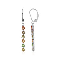 Orecchini in argento con Zaffiro Fancy