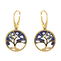 Orecchini in argento