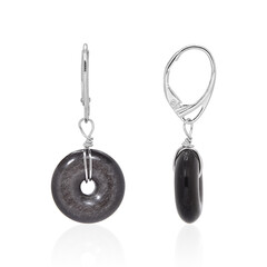 Orecchini in argento con Ossidiana Argentata
