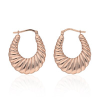 Orecchini in argento
