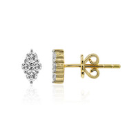 Orecchini in oro con Diamante IF (D)