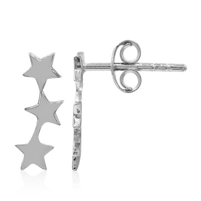 Orecchini in argento