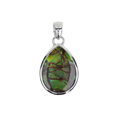 Ciondolo in argento con Ammolite
