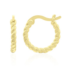 Orecchini in argento