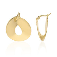 Orecchini in argento