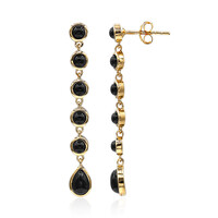 Orecchini in argento con Spinello Nero