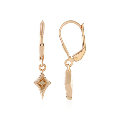 Orecchini in argento con Diamante PK (J)