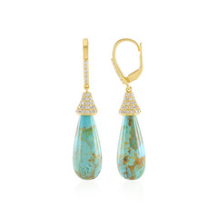 Orecchini in argento con Turchese