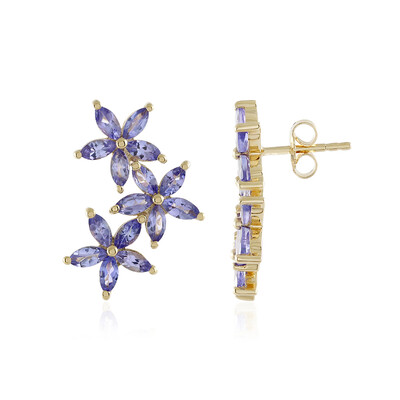 Orecchini in argento con Tanzanite