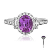 Anello in oro con Zaffiro Rosa (CIRARI)