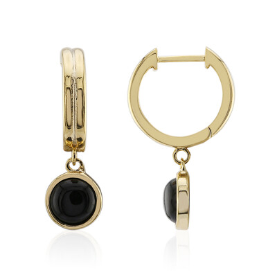 Orecchini in argento con Onice Nero